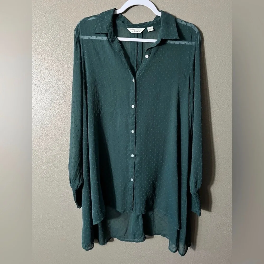 Caffe Marrakesh Sheer Button Up Swiss Dot‎ Long Sleeve Hunter Green Blouse 1X